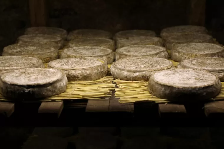 Vente munster fermier Vosges, Colmar, La Graine Johé